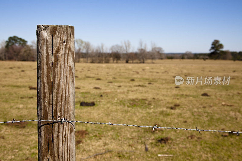 前景有带刺铁丝网的牧场。