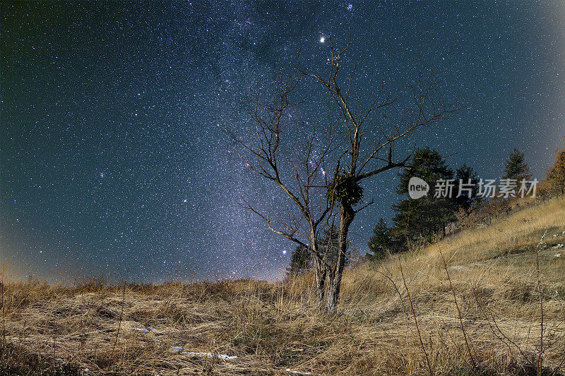 繁星点缀的景观