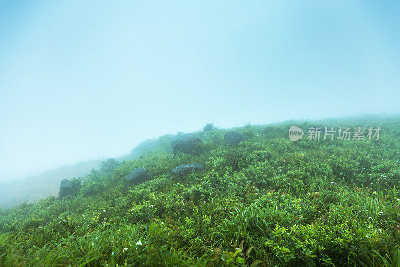 雾天的草地在山顶上