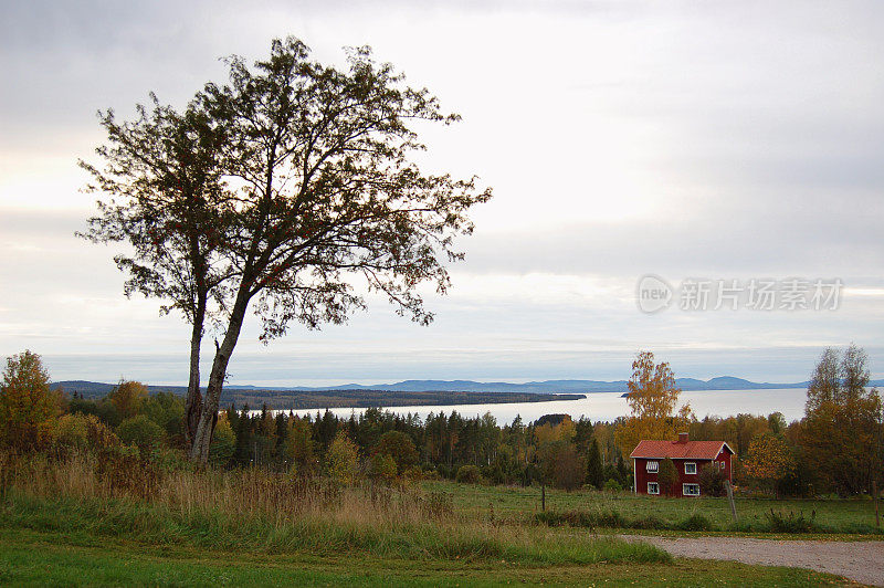 瑞典乡村的瑞典风景