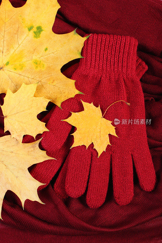 女人的手套和秋天的叶子在紫红色的披肩背景
