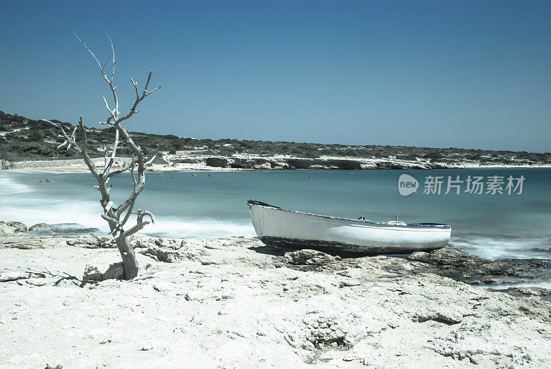 Koufonissi海滩上的一棵枯树和一艘小船