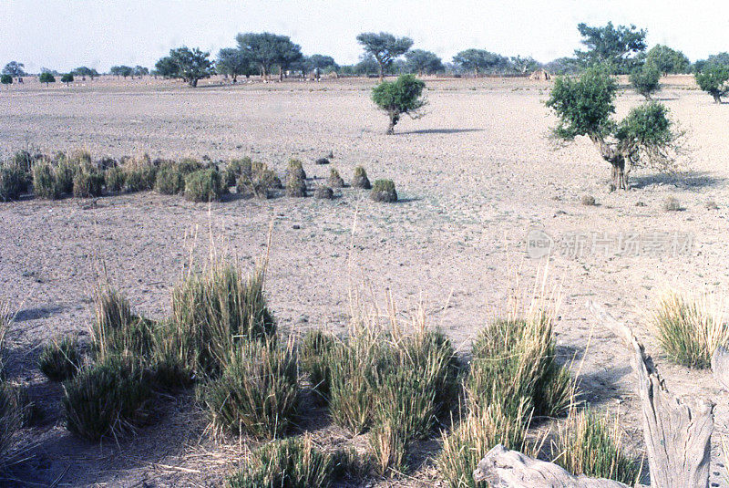 西非布基纳法索北部旱季湿地池塘