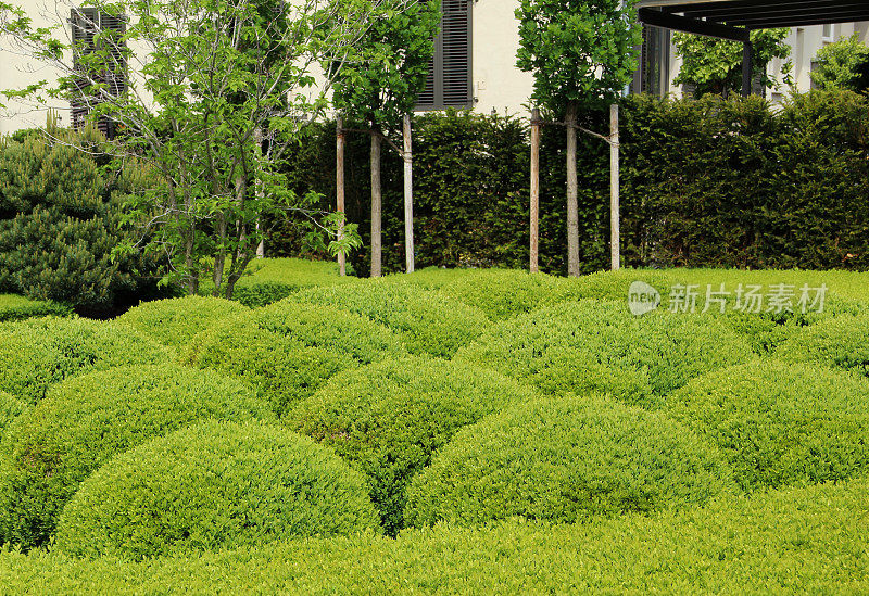 Gardendesign与进行