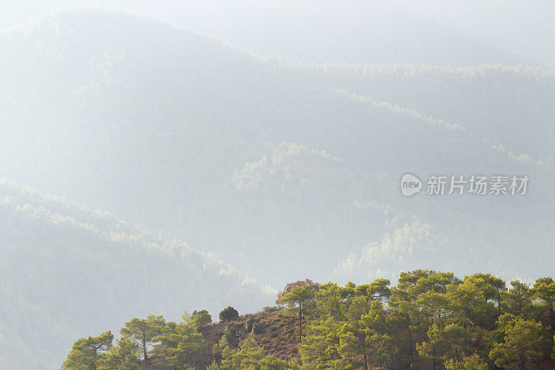 大雾清晨troodos塞浦路斯山塞浦路斯