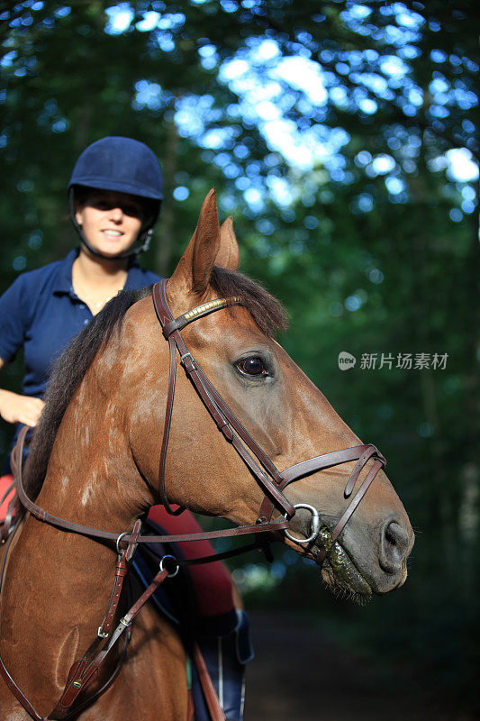 在挪威的森林里骑马的女孩