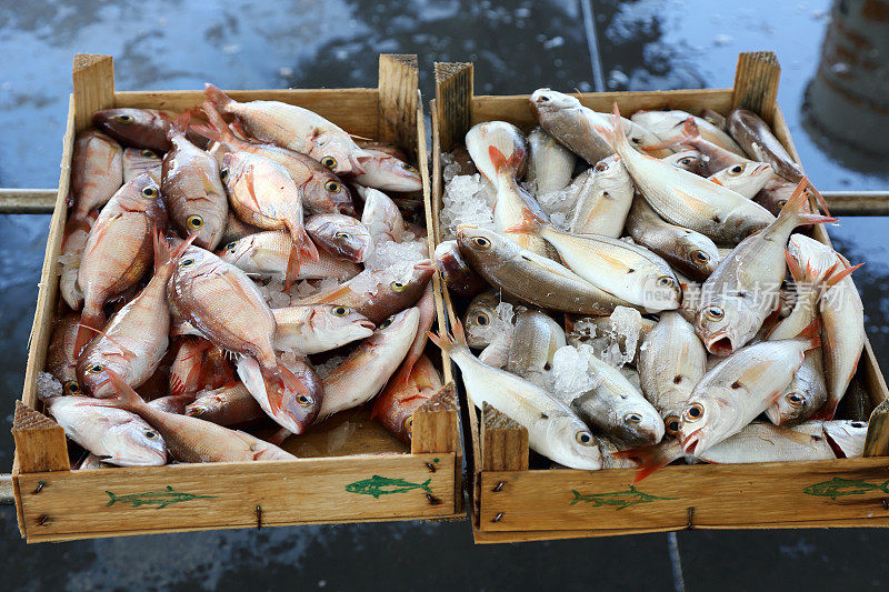 特拉帕尼市场上的新鲜鱼