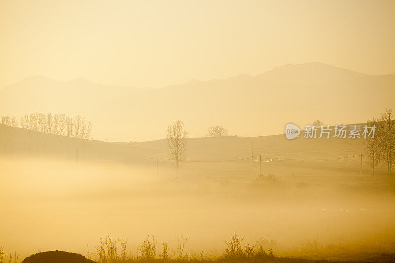 黄色有雾的早晨