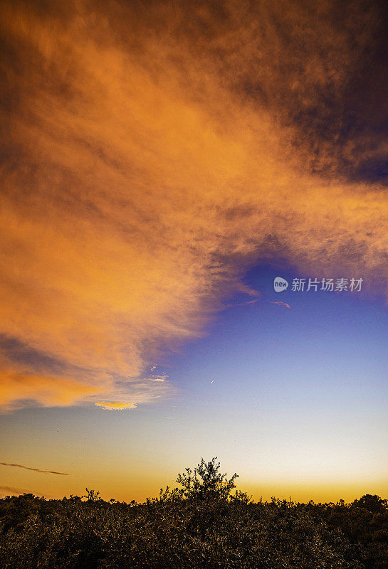 日落时，天空呈现戏剧性的紫色和橙色，月亮清晰可见