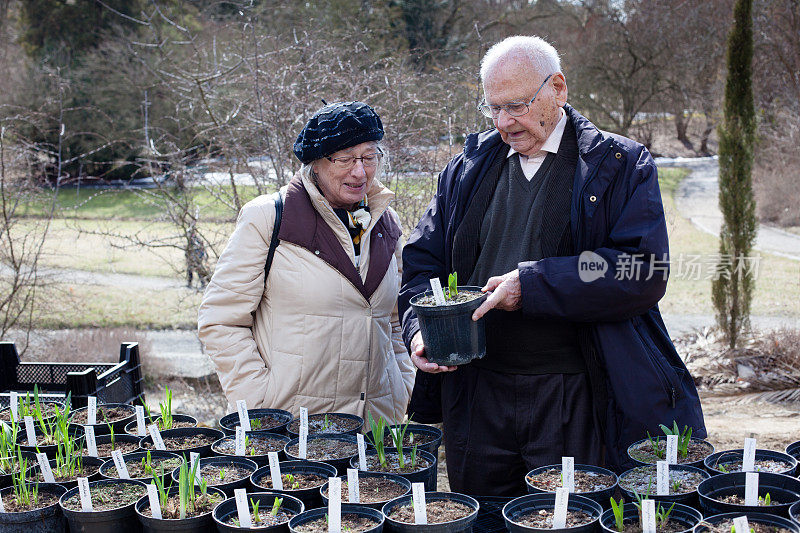 一对老年夫妇在花市买豆芽