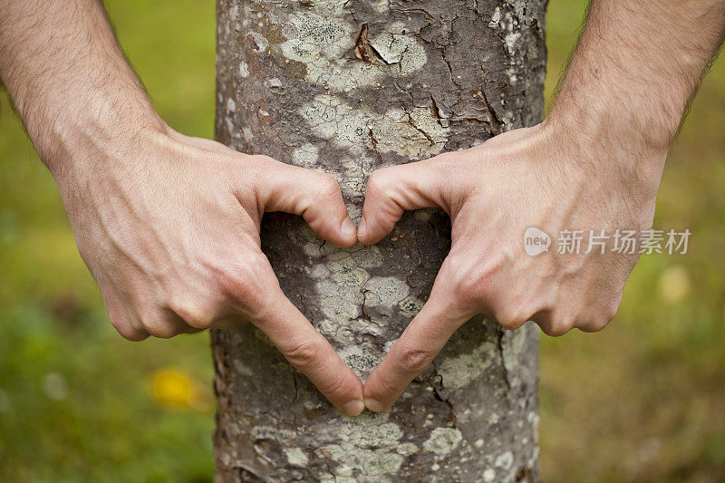 手放在树干上，呈心形。