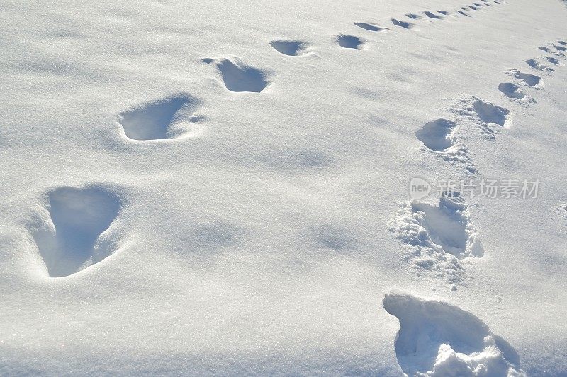 雪脚印