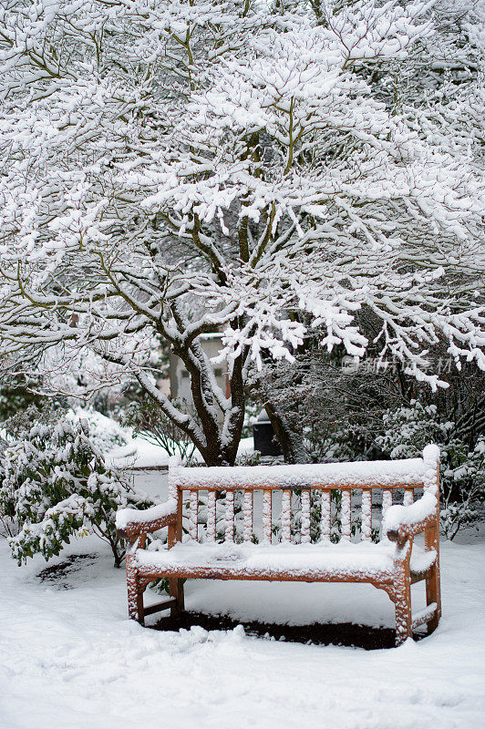白雪覆盖的公园长椅