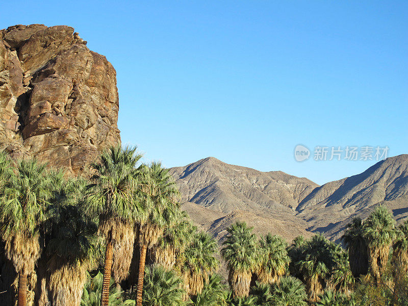 棕榈泉附近的印第安峡谷徒步旅行