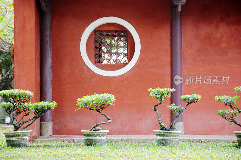 窗墙和盆景树，修剪，佛寺，台湾