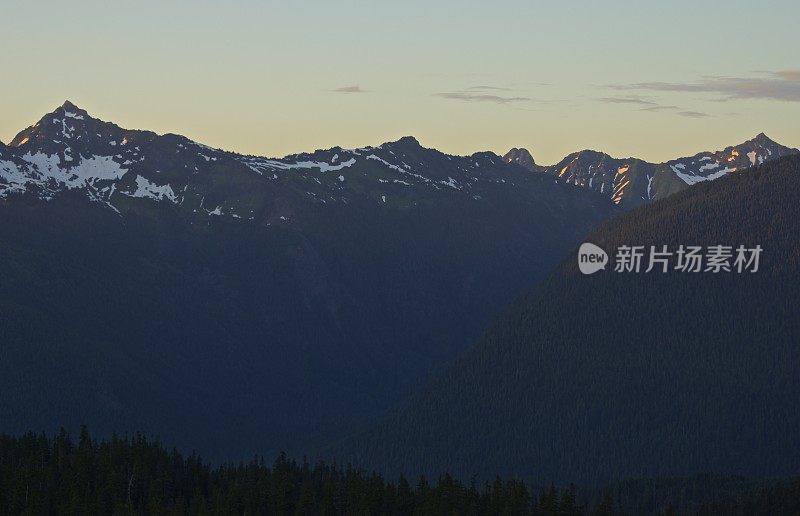 贝克山荒野紫色