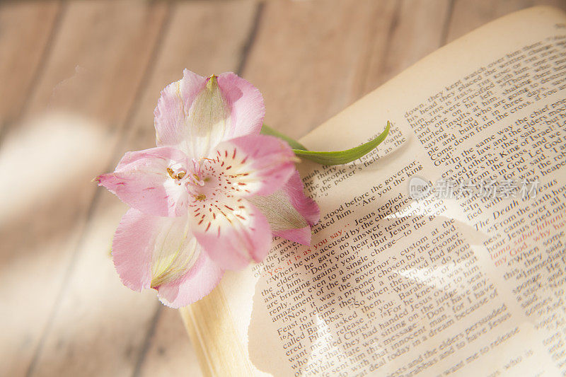 复活节。打开的基督教圣经上的花。