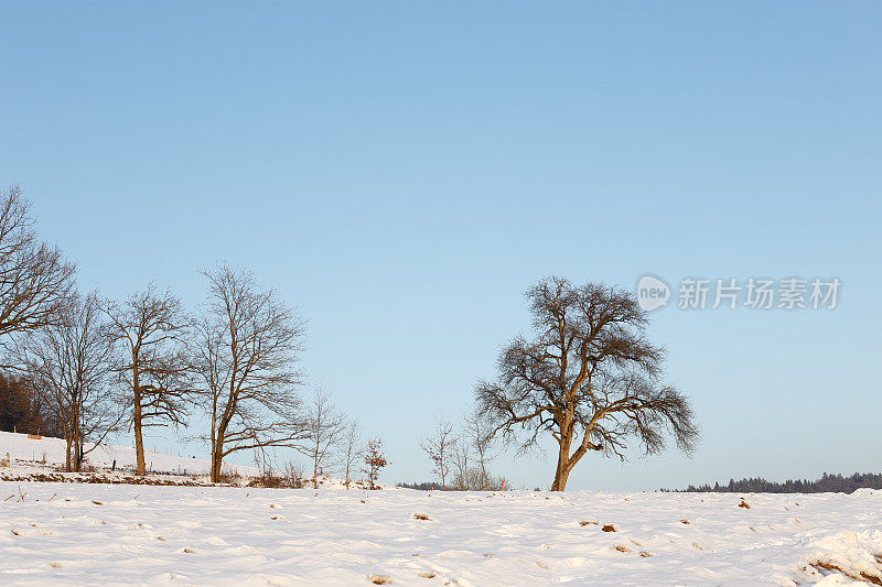 冰雪覆盖的土地