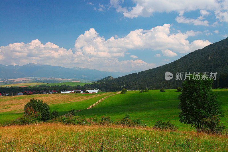 乡间草地景观，斯洛伐克