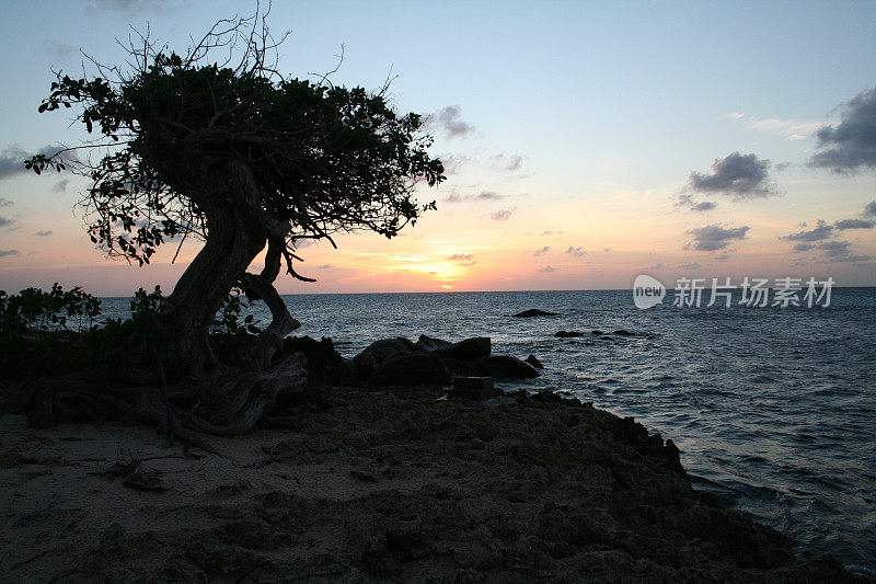 加勒比海的日落