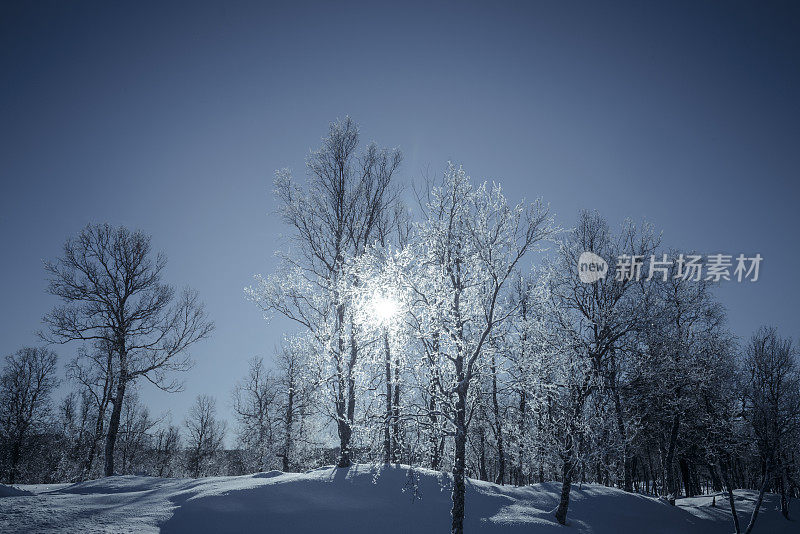 挪威森加岛冬日的雪景