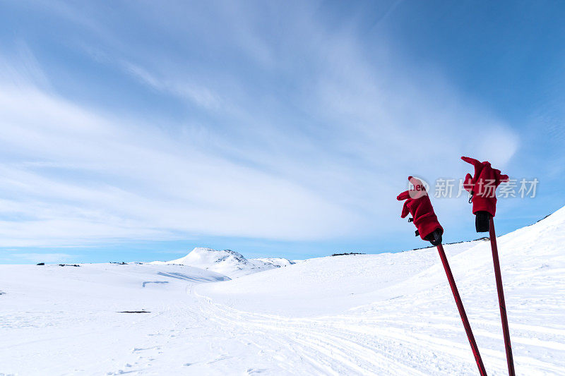 滑雪杆在广阔的冬季景观