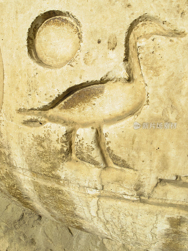 埃及孟菲斯的古埃及鹅象形文字
