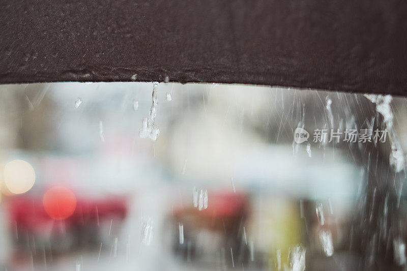 下雨的春日下了一把伞