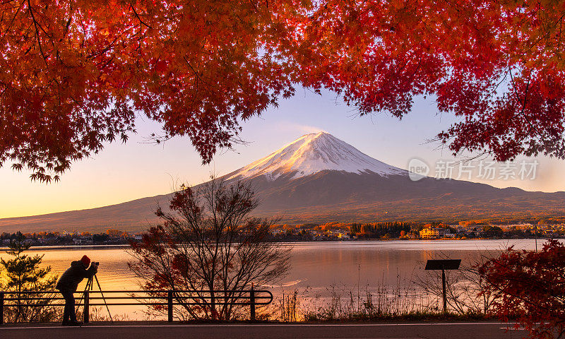 从川口湖眺望富士山的秋景