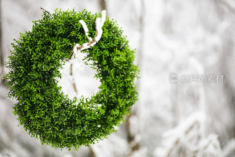 白雪覆盖的树枝上的常青花环