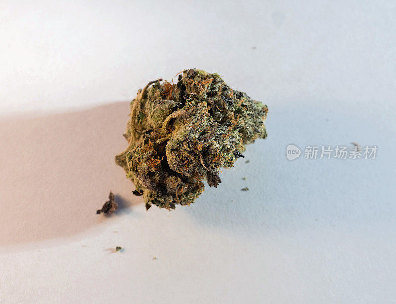 高档大麻大麻花蕾特写