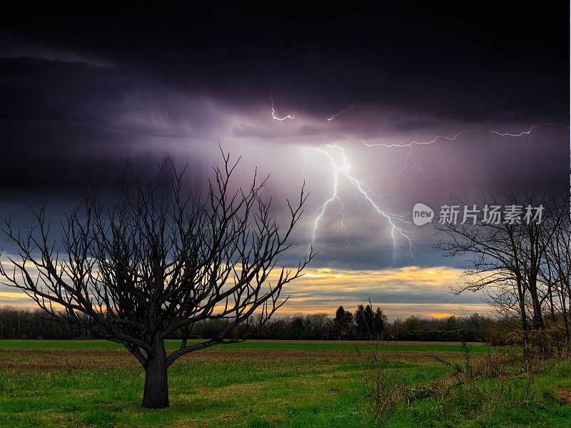 田野里的雷雨