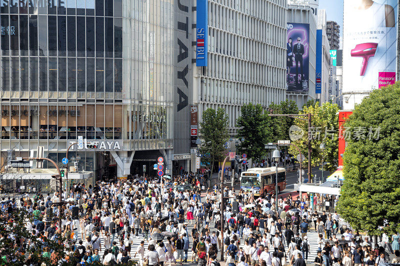 涩谷十字路口，人群穿过十字路口，日本东京