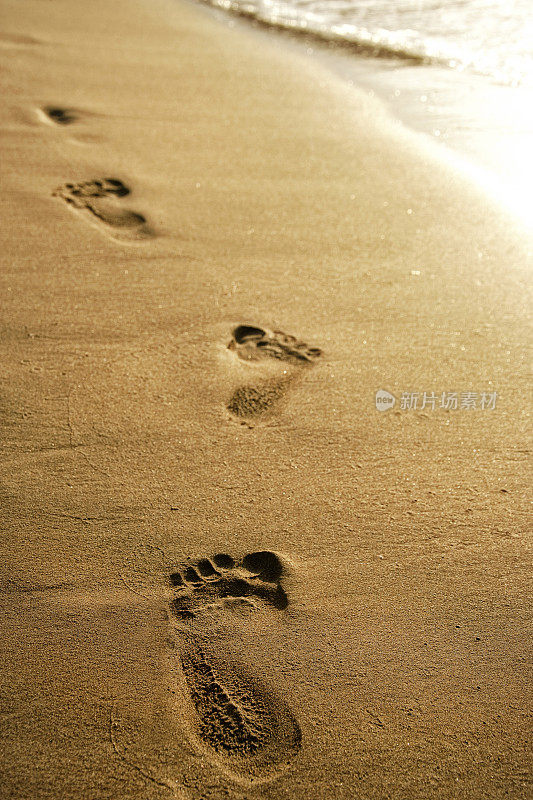 金色沙滩上的脚印