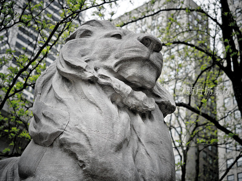 纽约公共图书馆的狮子雕像