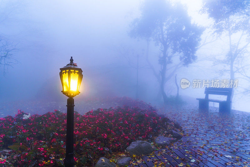 风景优美的道路和灯光