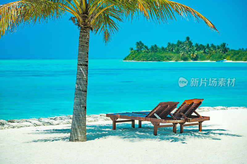 马尔代夫纳拉古赖胡岛太阳岛度假村的日光浴床和棕榈树