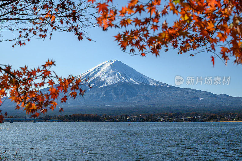 日本富士山的秋天