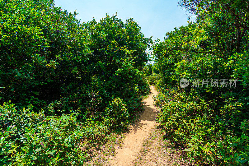 香港草岛徒步旅行路线