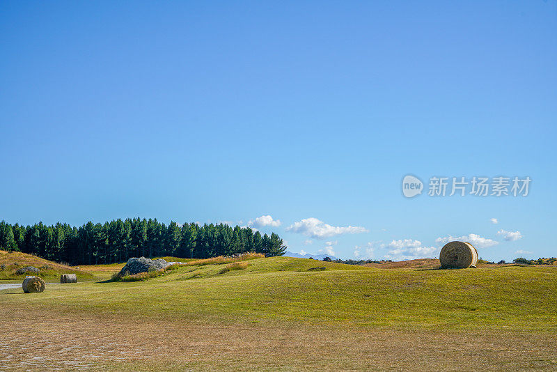 新西兰阿尔卑斯薰衣草农场Twizel，库克山公路(80号州公路)和普卡基湖，南岛，新西兰