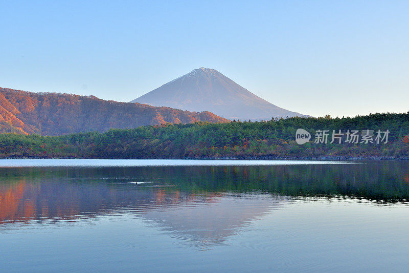 富士五湖秋叶色:saiko湖