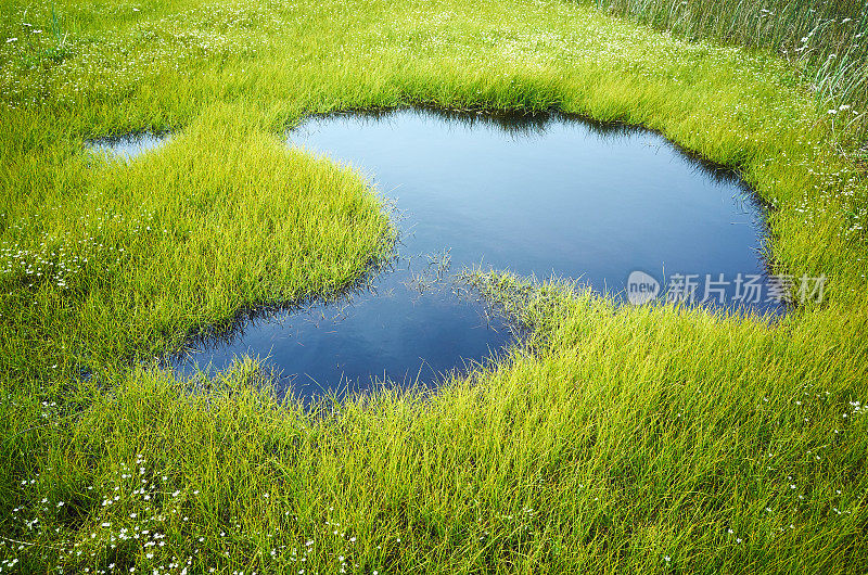 碧绿多汁的小草和蓝色的小湖，映照着蓝天