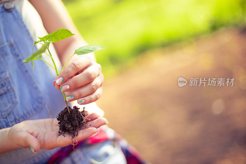 在新的栖息地开始新的生活