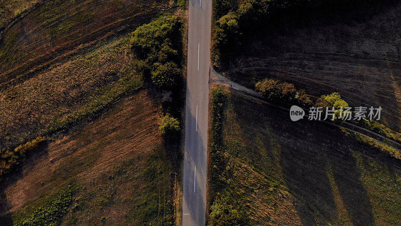 鸟瞰图，一辆红色的汽车沿着一条两侧是森林的道路行驶