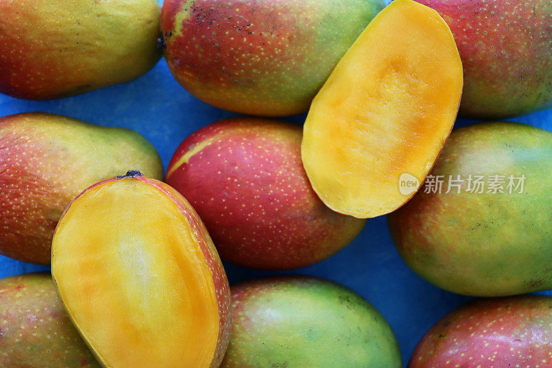 特写一堆完整的成熟的热带芒果，绿色和红色的果皮，在蓝色的背景下，一个切成两半露出橙色的果肉，升高的视野
