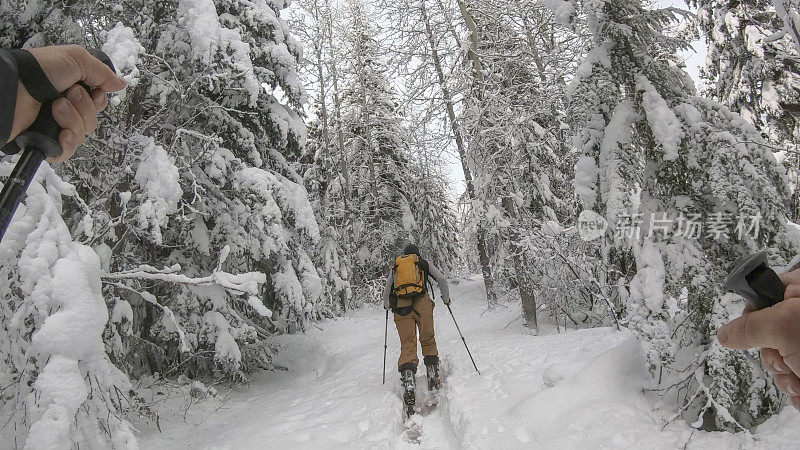 年轻人在野外滑雪穿过白雪皑皑的森林