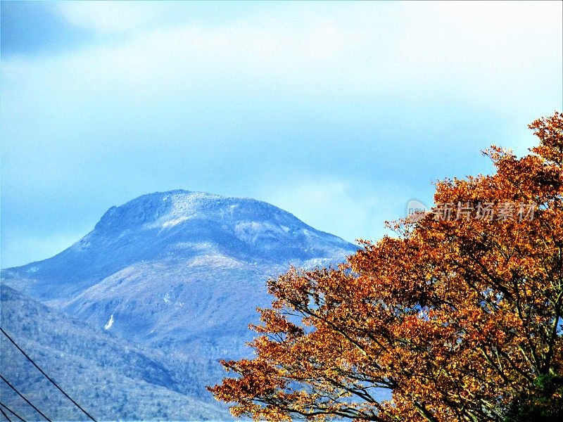 日本的蓝山