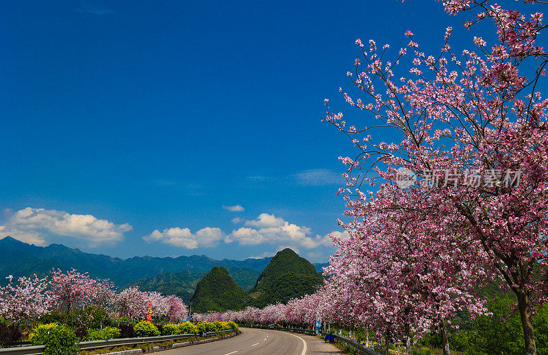 春季道路交通