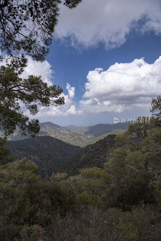 一望无际的山景，云影映在草木稀疏的山坡上，左侧是松树