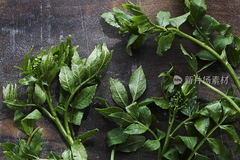 餐桌上的新鲜叶类蔬菜